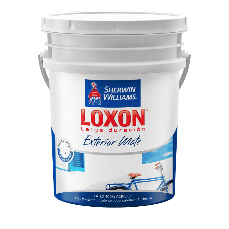 Loxon Latex Exterior Blanco 10 L