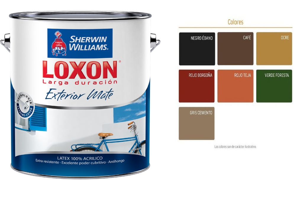 Loxon Exterior Colores 1 L