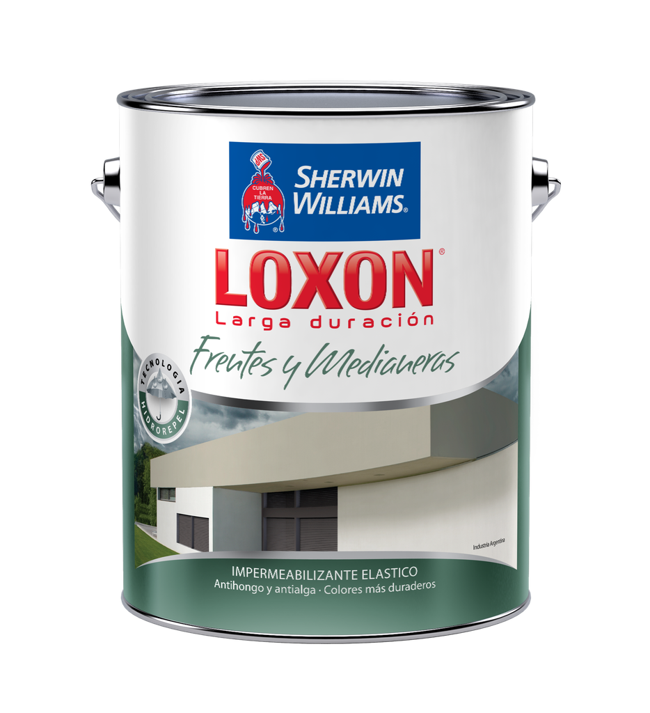 Loxon Frentes y Medianeras Colores 4 L