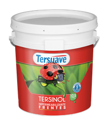 [7798018387727] Frentes Tersinol Blanco 10 L