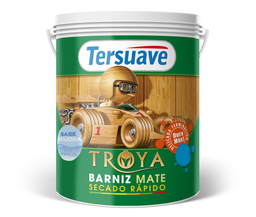 [TBAM1] Barniz Acuoso Mate 1 L Tersuave